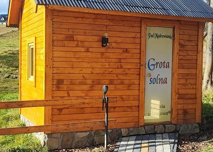 Pod Modrzewiami דירה